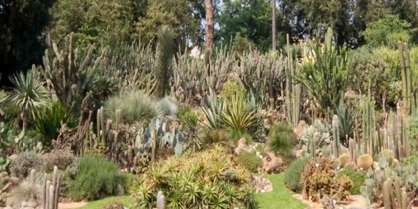 Una passeggiata all’Orto Botanico per la rassegna “Le Favole della Saggezza”