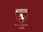 Serie Bwin 37^ turno: Toro in vetta, la Nocerina aggancia i play out 