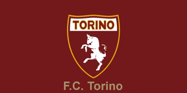 Torino in Serie A