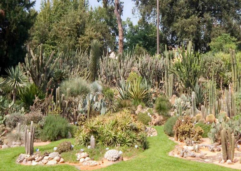 Una passeggiata all’Orto Botanico per la rassegna “Le Favole della Saggezza”