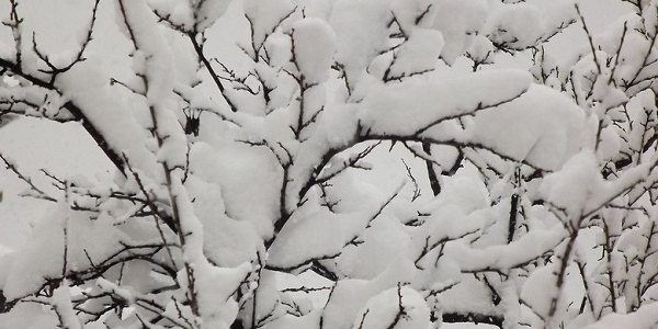 Maltempo: gelo e freddo in Liguria