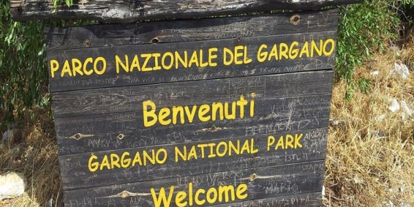 Il Parco Nazionale del Gargano e la sua Foresta Umbra.