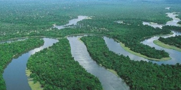 La selvaggia Amazzonia, un paradiso da salvaguardare.