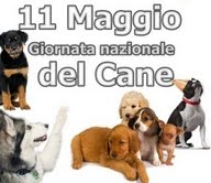 Il cane, amico dell\'uomo e animale sociale.