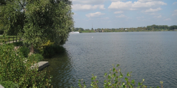 Cadavere nel lago di Mantova. Omicidio?