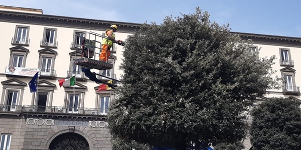 Napoli: Interventi di sagomatura e potatura in corso in diverse zone della città