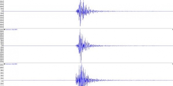 Terremoti:scosse in Romagna e in Sila