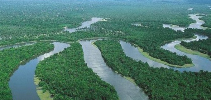 La selvaggia Amazzonia, un paradiso da salvaguardare.