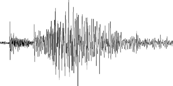 Terremoto, Protezione civile Campania: dalle prime verifiche, nessun danno